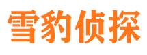 广灵市侦探公司